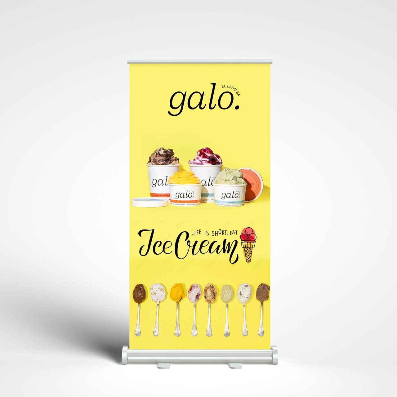 Pull Up Banner Pull Up Banners VividAds Print Room